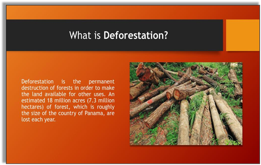 deforestation and its causes